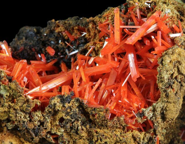 Bright Orange Crocoite Crystals - Tasmania #64362